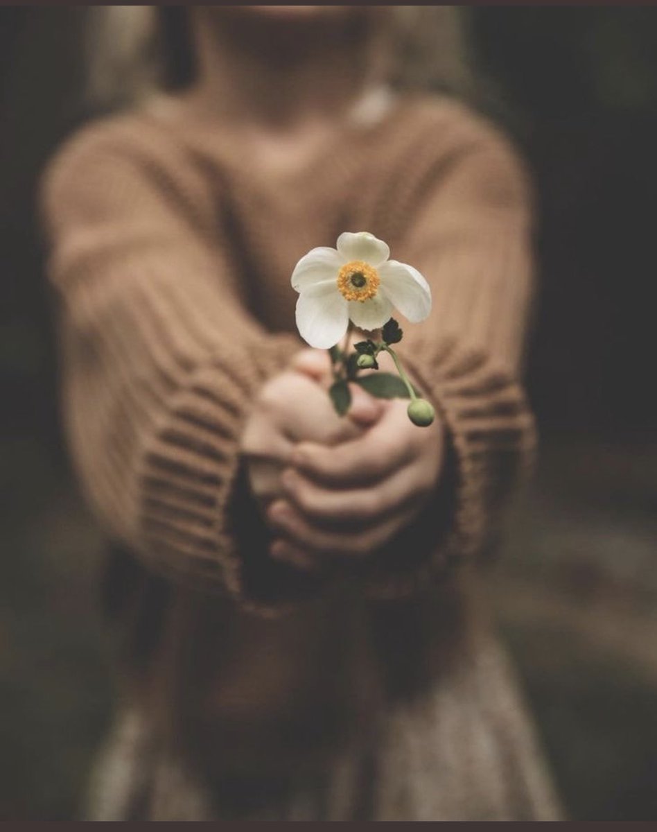 وراء التبلد شخص نيته حسنة ❤️

ظن بالجميع خيرآ فخُذل 💔
#حقيقة