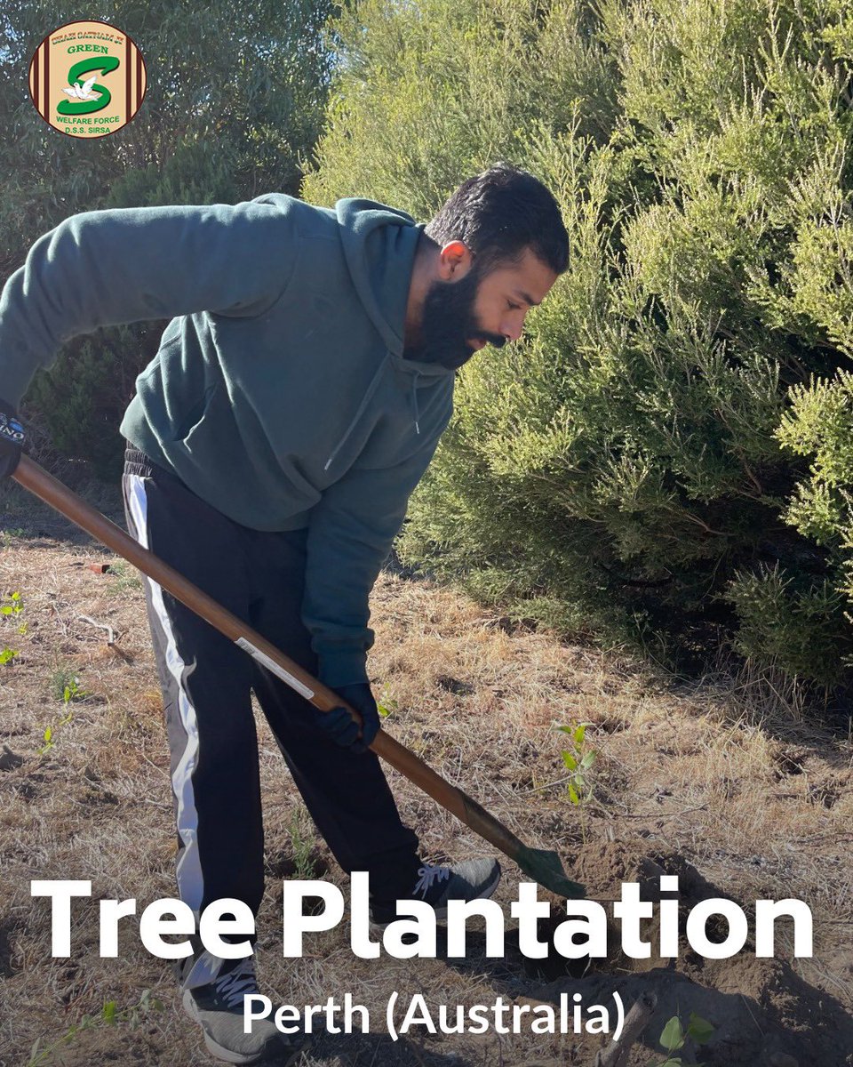 GreenSwelfares's tweet photo. Appreciable efforts of #DeraSachaSauda volunteers in Perth, Australia in tree plantation drive! 🌳🇦🇺 Their dedication to the environment helps create a greener future for all. Let's join them in making the world a better place! #TreePlantation #WorldEnvironmentDay https://t.co/oz0vWIv7xl