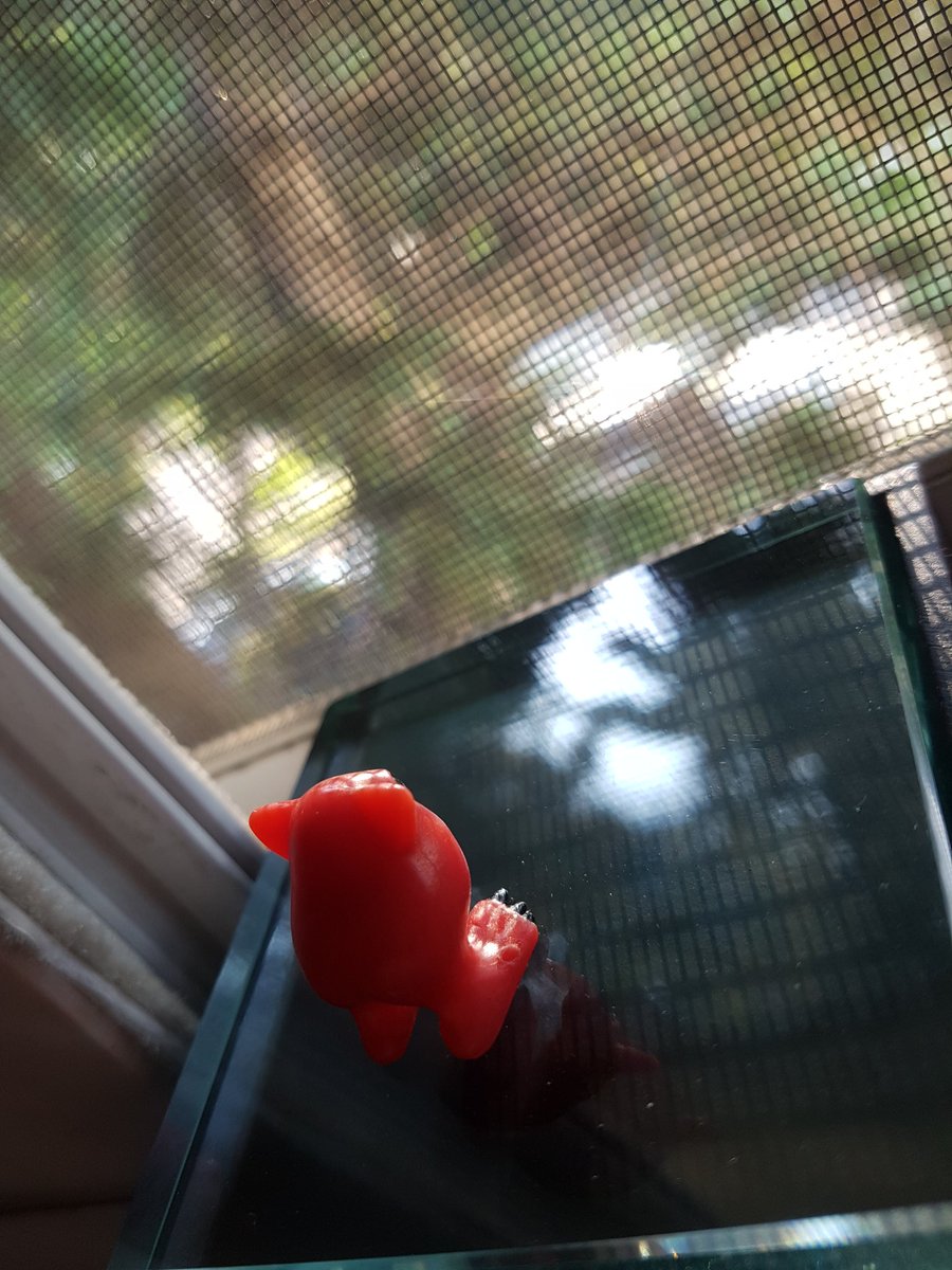 TheLocalBard's tweet photo. From now on, Mordles every Monday!

#Mordles #MordleMonday #RocksAndBugsAndThings #Toyfinity @JohnDoctorKent https://t.co/gotlYff0QS