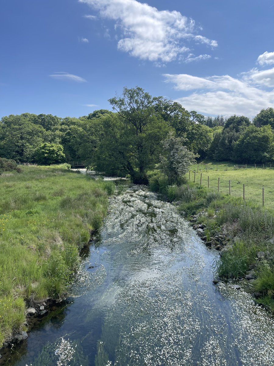 Had the great pleasure of meeting farming officers from Stavanger municipality in Norway, to compare farming habitats between our 2 countries. We have similar constraints and problems, but farming appears better supported there. Thanks to @FarmingLakes and @JRfromStrickley