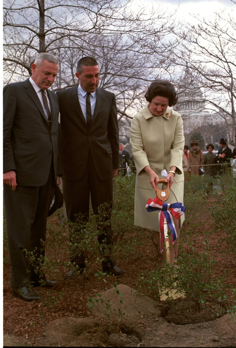 LBJLibrary's tweet photo. #DidYouKnow: 200+ environmental laws were passed during the #JohnsonAdministration, many of which are credited to #LadyBird's work. ๐ณ๐บ๐โ๏ธ
Learn more about Lady Bird's work with conservation and the environment: https://t.co/LYTFYRghjS
#WorldEnvironmentDay
@WildflowerCtr https://t.co/mGyv0GoDpy