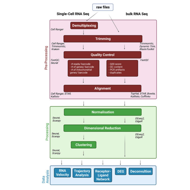 FrontMolMed's tweet photo. 👉 Hegenbarth et al present perspectives on bulk-tissue RNA sequencing and single-cell RNA sequencing for cardiac transcriptomic.
Full study in @FrontMolMed ⬇️
#RNAsequence #molecularmedicine