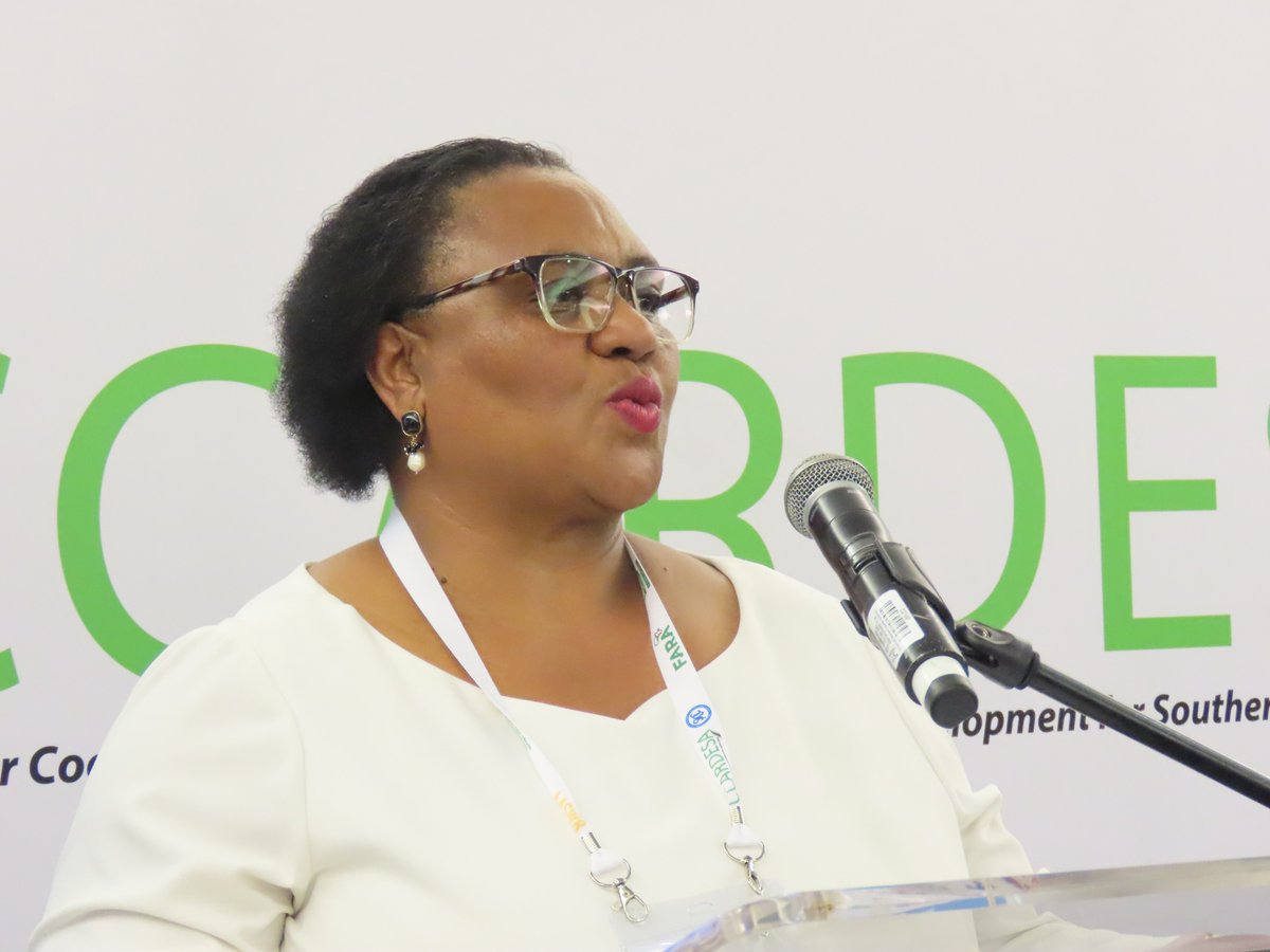Dr Thoko Didiza (Minister of Agriculture, Land Reform and Rural Development in South Africa) addressing the members of the CCARDESA Third General Assembly emphasised the need for rapid climate change response in the region. #km4agd
#CCARDESA. #KM4AgD