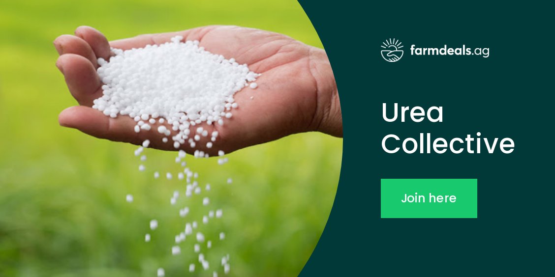 #Farmdeals members have two weeks to join our new season #Urea #Fertiliser collective, orders quoted by the end of June. Buying forward can offer the potential to secure more favourable prices &amp; will also help to reduce risk!

 Sign in or join up here&gt; zurl.co/tOKR