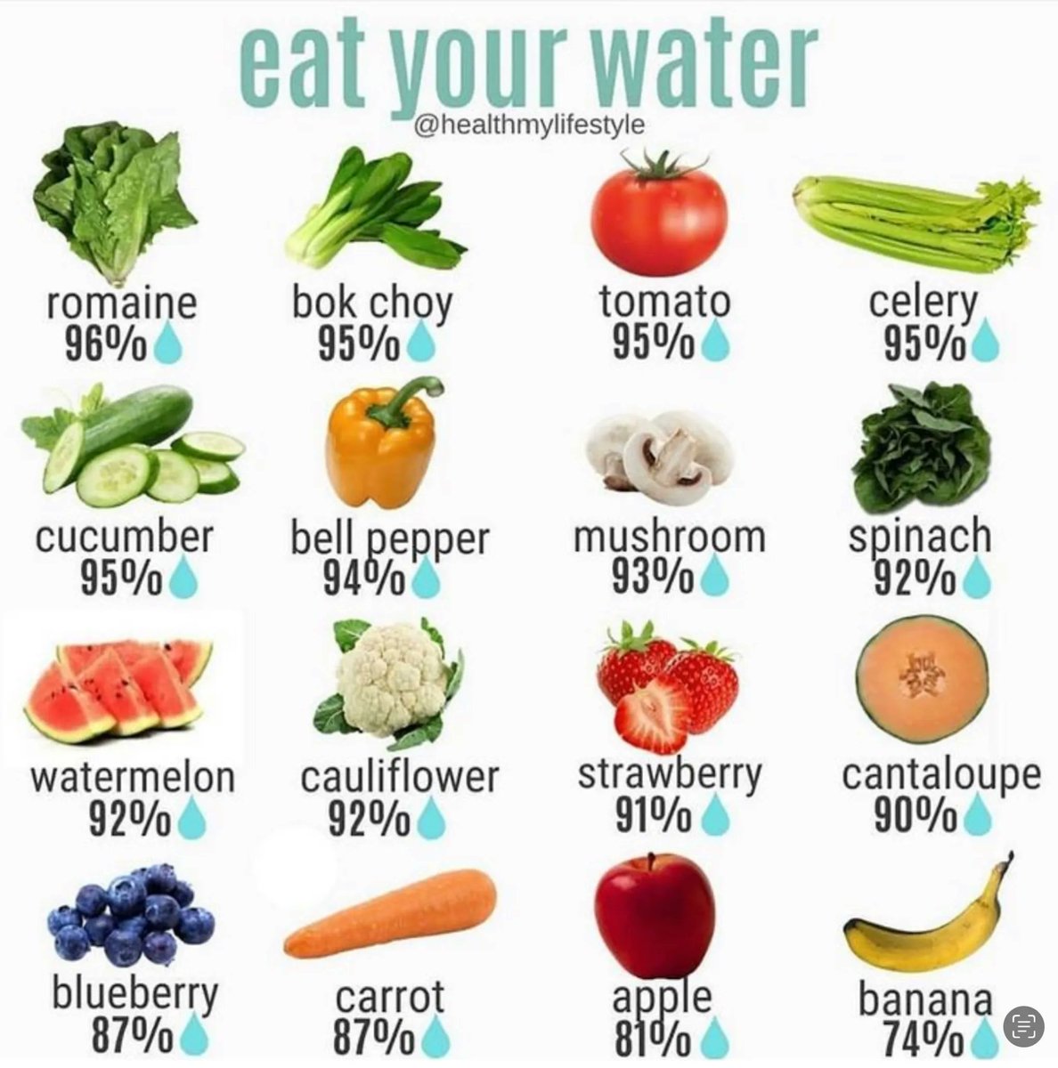 Eat your water￼￼￼￼ #nutrition #wellness #wellnessblog #plantbased #vegan #healthyself #naturalhealing #veganoptions #hydrate #healthylifestyle  #exercise   #healthychoices  #wellnesswarrior #healthylivingtips #backhealth