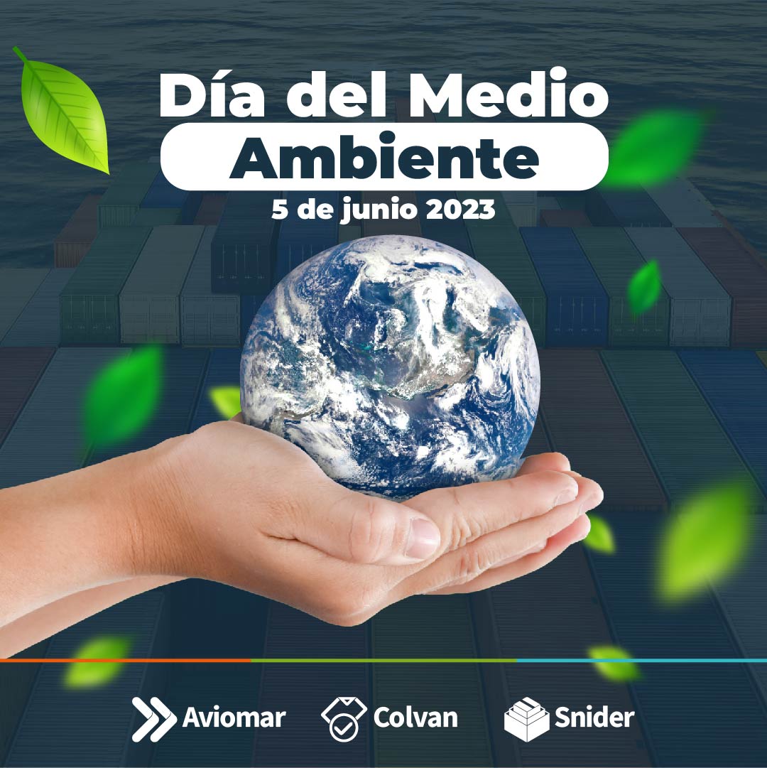 Hoy celebramos el Día del Medio Ambiente y en Aviomar cada día implementamos estrategias sostenibles en nuestras operaciones para contribuir con el cuidado del medio ambiente.

 #DíaDelMedioAmbiente #PlanetaSostenible #CambioClimático #CuidemosLaTierra