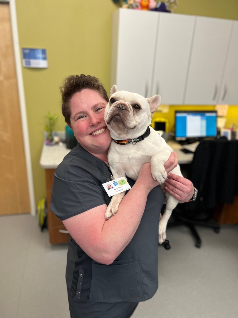 gcvspecialists's tweet photo. It's #PetAppreciationWeek! 🐾 This week was created by AVMA in 1981 and encourages us to be responsible pet owners not just this week, but every day of the year! We are grateful for the pets  who are always there for us. ❤ Tell us how you plan to celebrate with your pet! https://t.co/1q8J78R34x