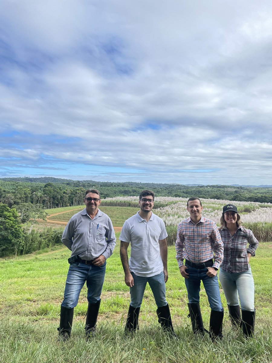 Claudio Fernandes, Ph. D. 🧬🌱 tweet media