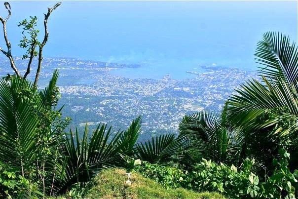 Puerto Plata.
🌺🌴 The botanical gardens in #PuertoPlata are a must-see! Walk among the colorful flowers and exotic plants while soaking up the sunshine ☀️ #NatureLovers #TropicalParadise