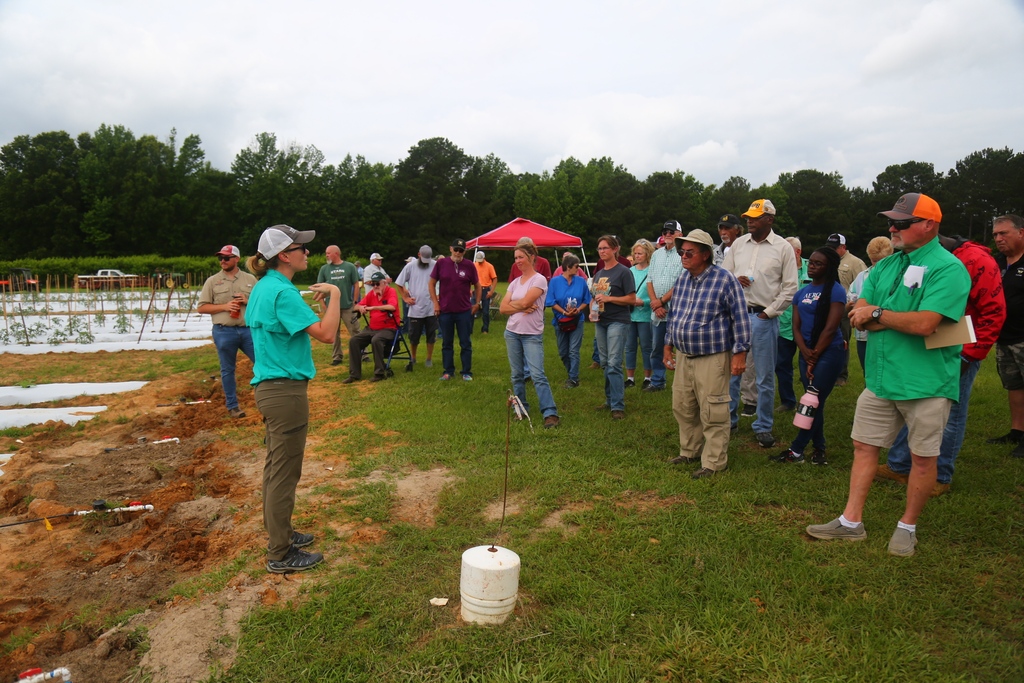 Attention horticulture enthusiasts! Mark your calendars for the 2023 Horticulture Field Day on June 28 at the Southwest Research and Extension Center in Hope. Discover the latest research on veggies, fruits, and turfgrass. Register now: aaes.uada.edu/events/2023-fi… #horticulture