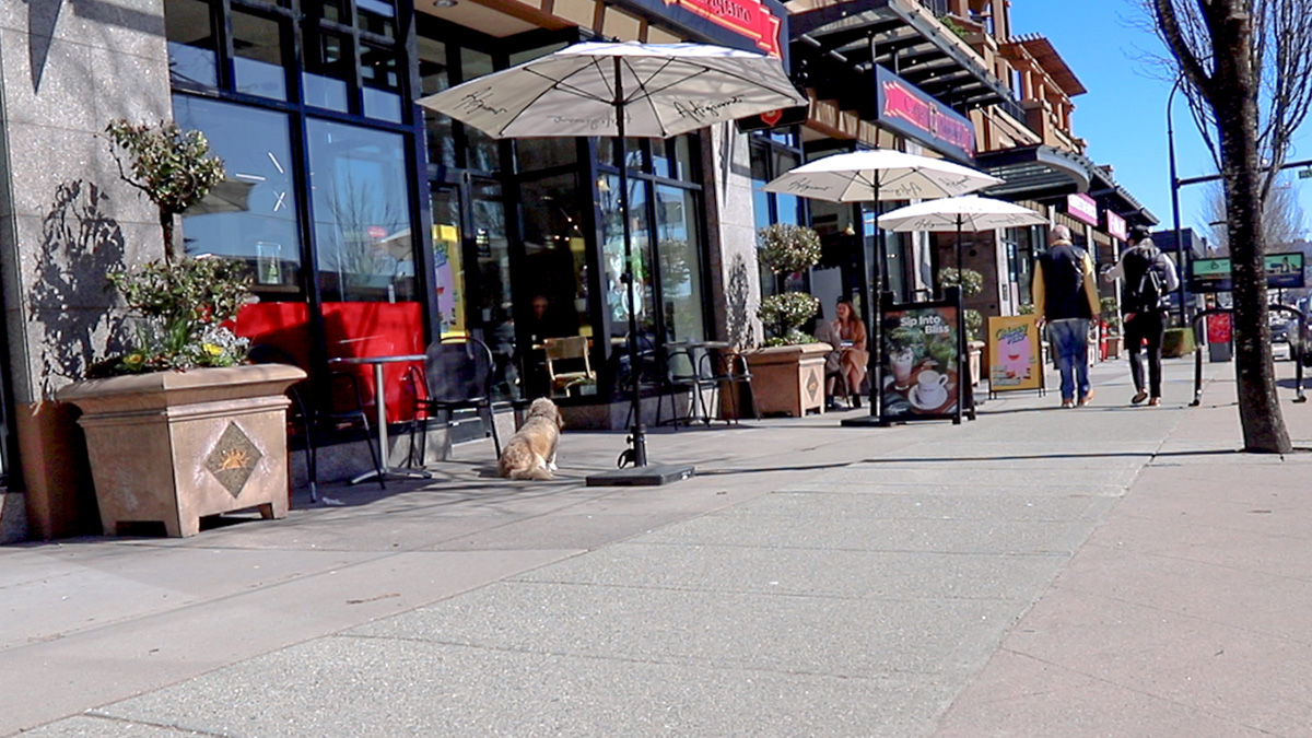 City of Burnaby on Twitter "☀️You wait all year for this warm weather