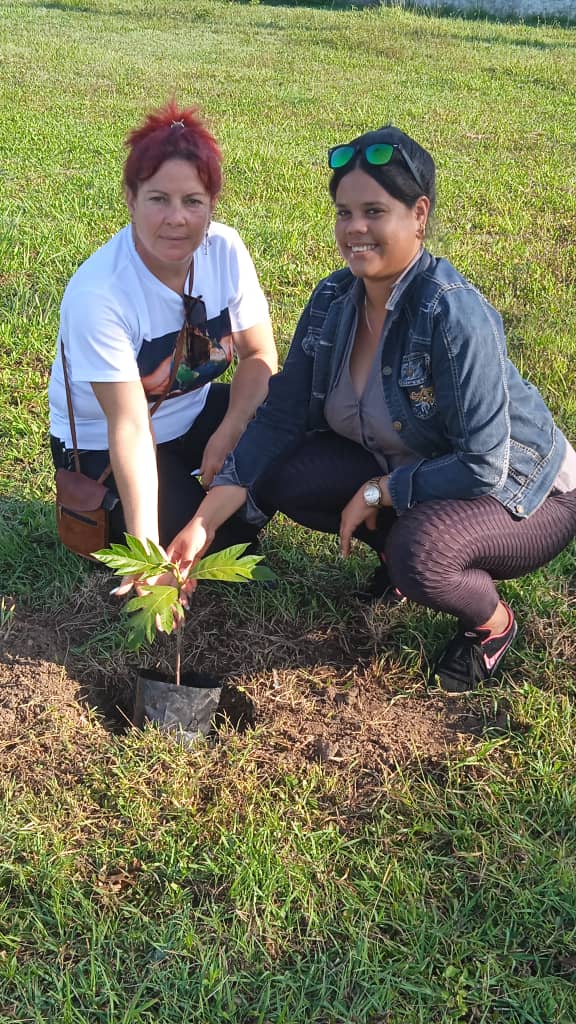 Siembra de 5 árboles en Citma Isla de conjunto con Centro Mixto Viet Nam Heroico en saludo al Día Mundial del Medio Ambiente. <a href="/citmacuba/">Ministerio de Ciencia, Tecnología y Medio Ambiente</a> <a href="/elbaporcuba/">Elbaporcuba</a> <a href="/ElbaRosaPM/">Elba Rosa</a> <a href="/OGAmbienteCuba/">Odalys Caridad Goicochea Cardoso</a> <a href="/FidelVeraIsla/">Dr. C. Fidel Vera Bueno</a> <a href="/CitmaIsj/">CitmaIsla</a> <a href="/CitmaIsla/">Lourdes CITMA Isla</a> <a href="/yadiraMA12/">yadiraMA</a> <a href="/Jessfc17/">JessicaFC</a> <a href="/LorenzoOsbel/">Osbel Lorenzo</a>