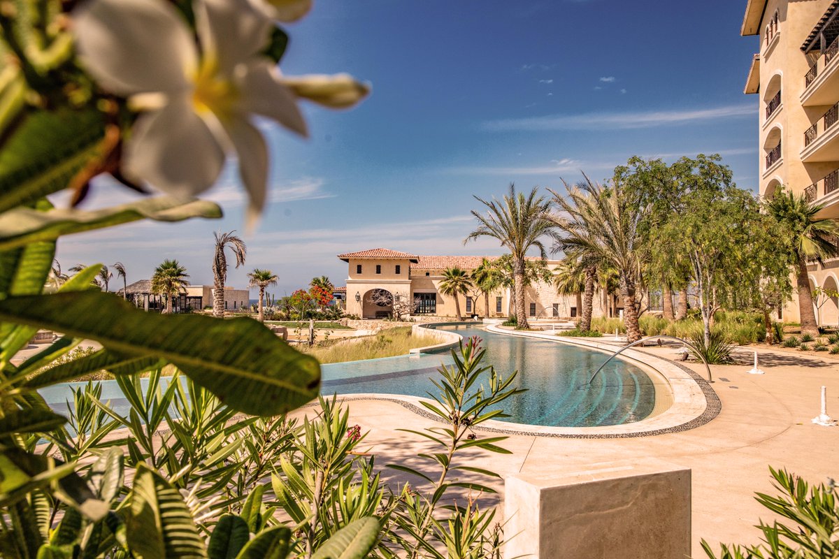 The beauty of nature’s picturesque landscapes is unparalleled. And together, we can protect these stunning sights for future generations!🌎 #WorldEnvironmentDay