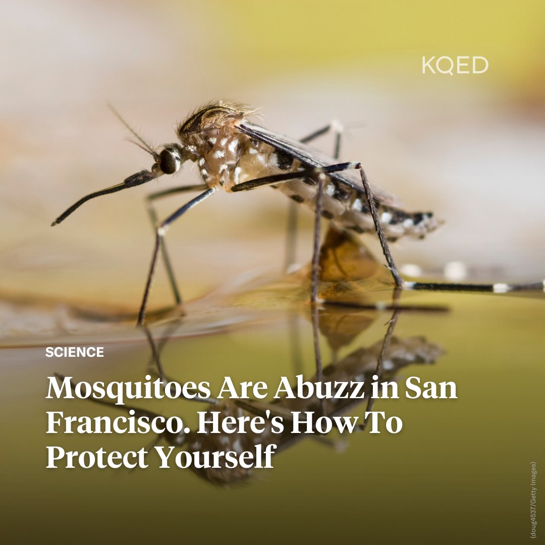 KQED on Twitter "Researchers at Climate Central found that rising summertime temperatures are