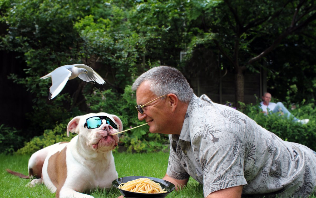 Quint Boa tweet media