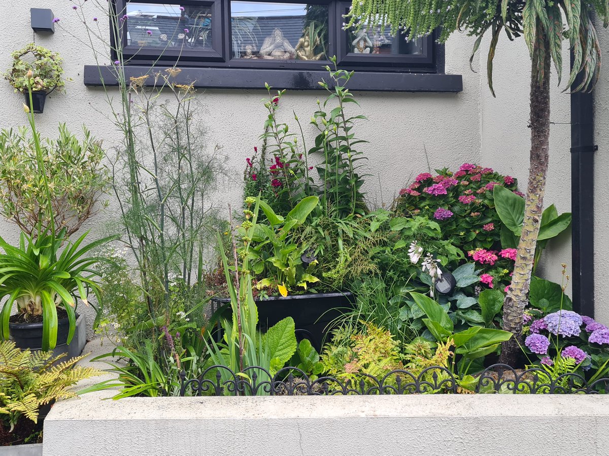 StoneybatterPoP's tweet photo. We're asking everyone to make a special effort to spruce up their street/garden/hanging baskets in advance of #stoneybatterfestival23 Rea Fitzgerald Chambers sponsoring the #TakePrideOutside competition for best streets/gardens/window box/hanging baskets Judging starts this week https://t.co/z2QlQkWF17