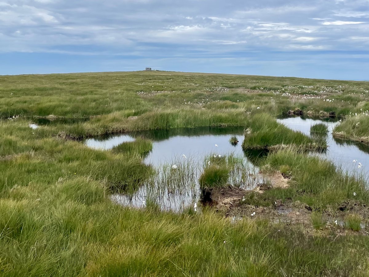 We have an undergrad research placement available through @GW4plusDTP working with @NaomiGatis  and myself @ExeterGeography  in @CREWW_uk

You will be looking at the relationship between #peatland restoration pool size and methane emissions on Dartmoor!

Deadline: 12pm 20th June