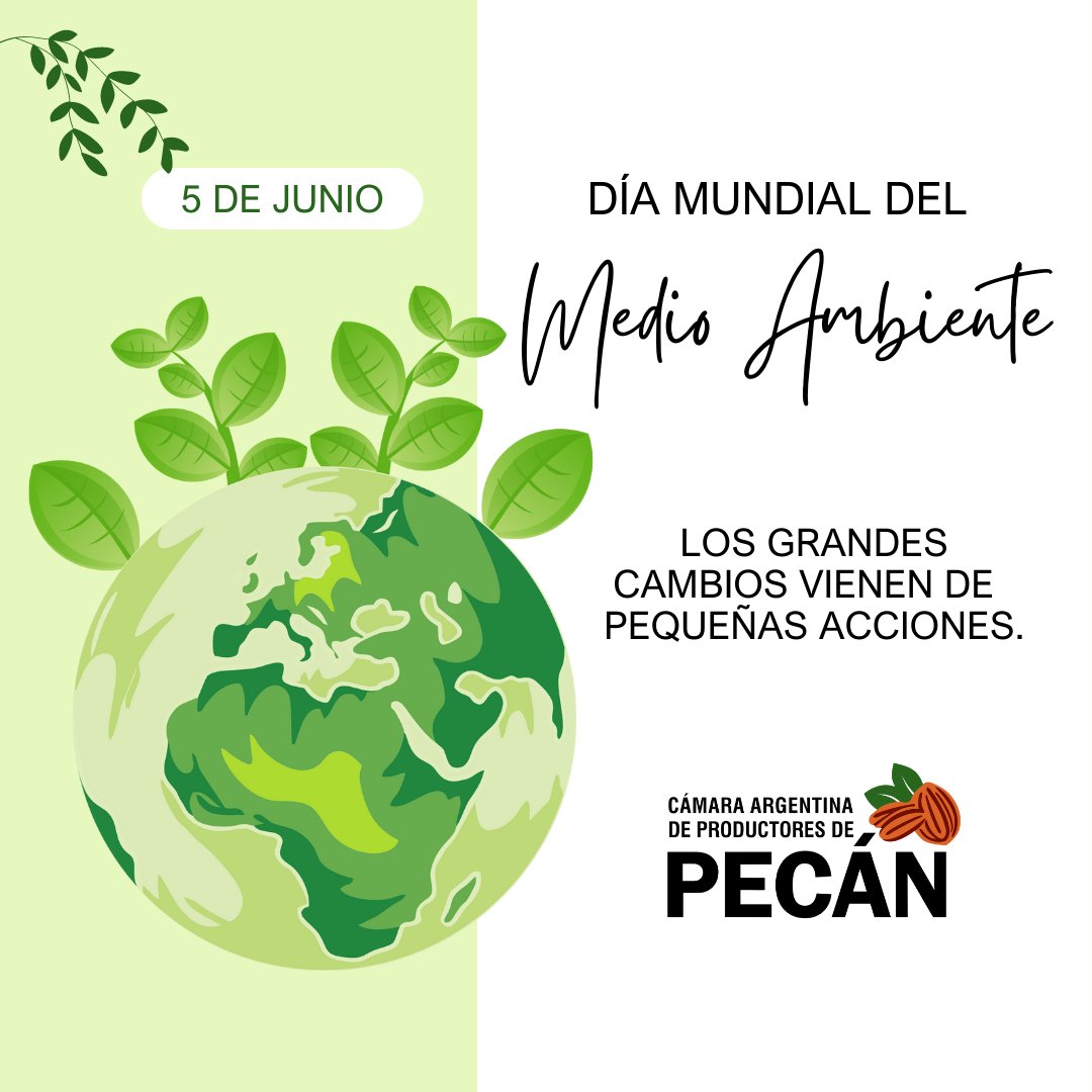 🌱Celebremos el Día Mundial del Medio Ambiente comprometiendonos a cuidarlo, los grandes cambios se logran con pequeñas acciones. 

#DiaMundialDelMedioAmbiente