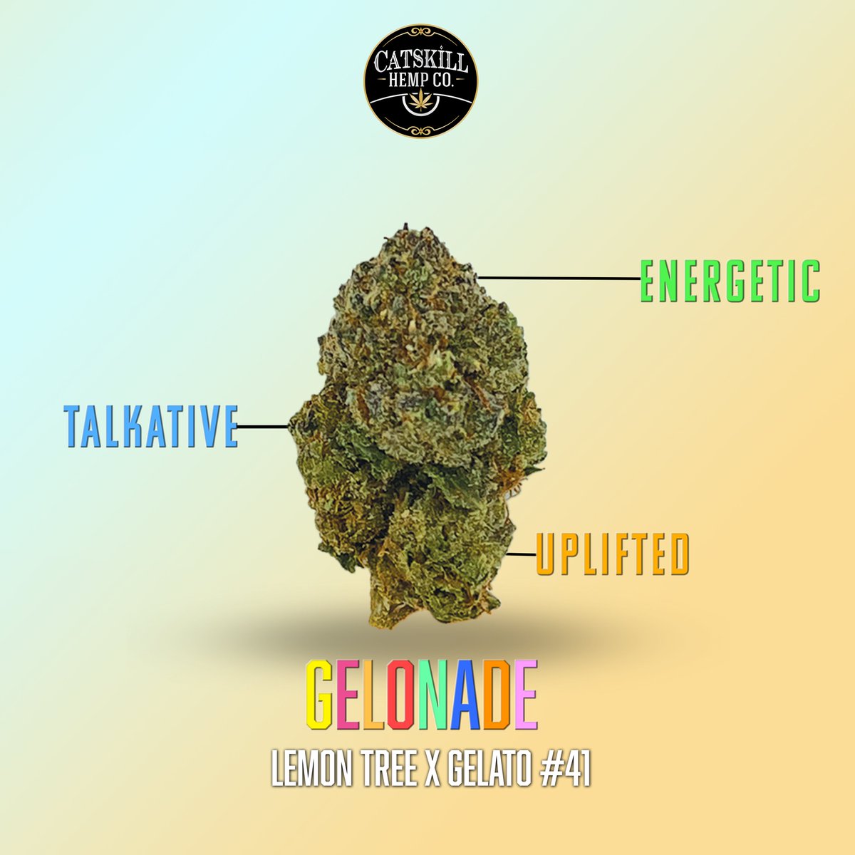 CatskillHempco's tweet photo. This Gelonade THCA Exotics is 🔥🔥🔥 - you gotta try it! #cannabislife #StonerFam #420friendly #CBD #THCA https://t.co/3Nn1WPg88v