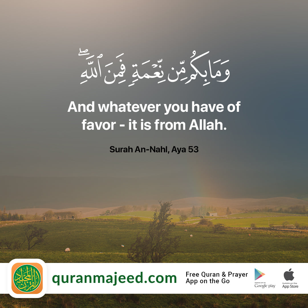 Embrace Gratitude: Recognizing that every blessing you have is a gracious gift from Allah, the Bestower of Favors.

Download the QM App: bit.ly/3OkqidT

#Quran #QuranApp #Quranhour #QuranMajeed #Islam #LearnQuran #QuraniOS #QuranAndroid