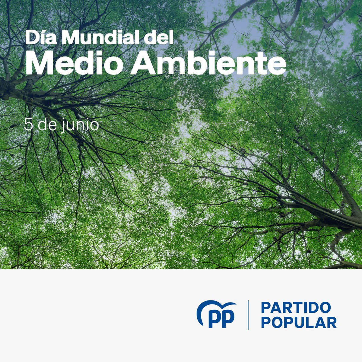 PPC_Girona's tweet photo. Preservar el medioambiente y proteger los recursos naturales es cosa de todos.

La lucha contra el cambio climático, la sostenibilidad medioambiental y el agua como fuente de vida y de trabajo son unos de nuestros firmes compromisos.

#DíaMundialDelMedioAmbiente https://t.co/3exLTnkVaq