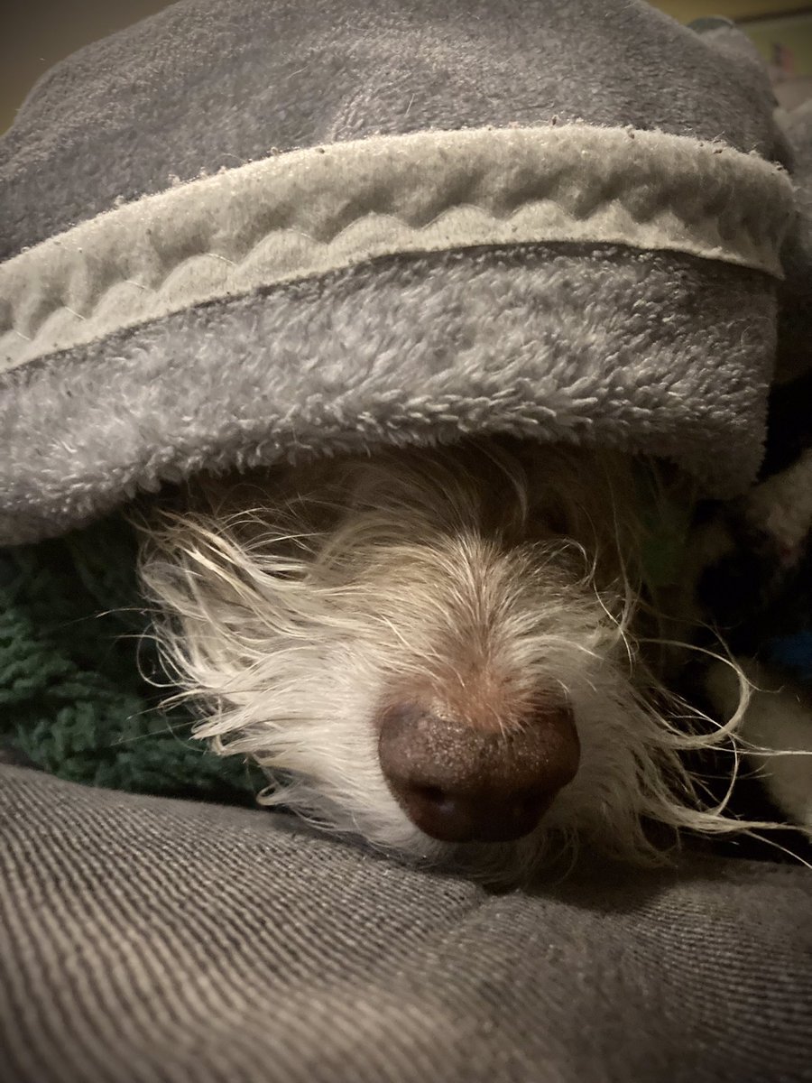 It’s Monday, George. 
“I know,” he said. 
We have to get up. 
“No.”