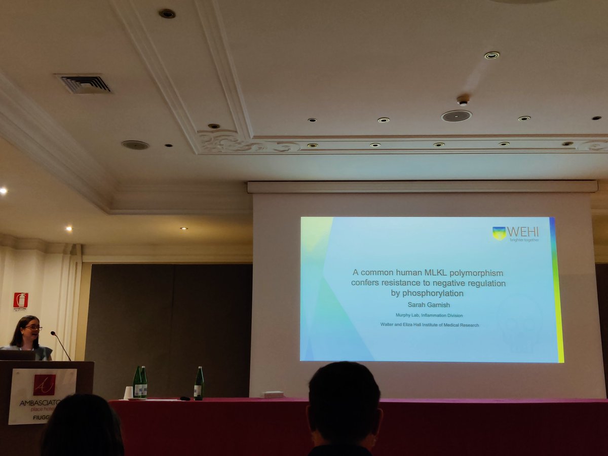 MalvinaPiz's tweet photo. Great talk from our @SarahGarnish @AusCellDeathSoc
today at #EWCD in Italy!!
@WEHI_research https://t.co/ChVUuVmUm3