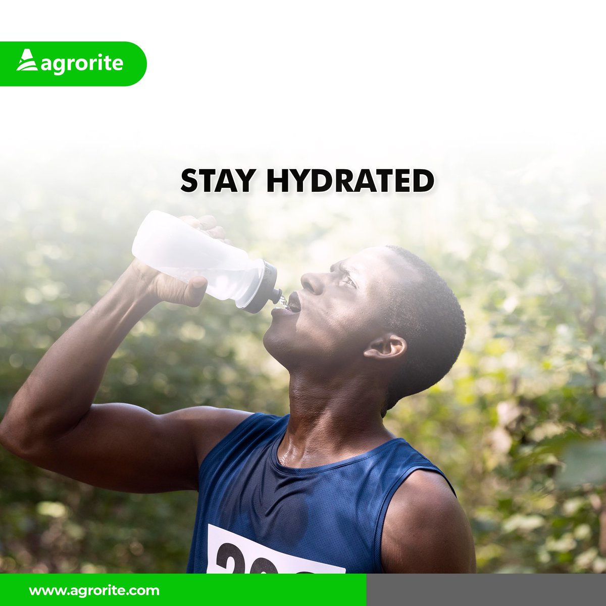 Agrorite tweet media