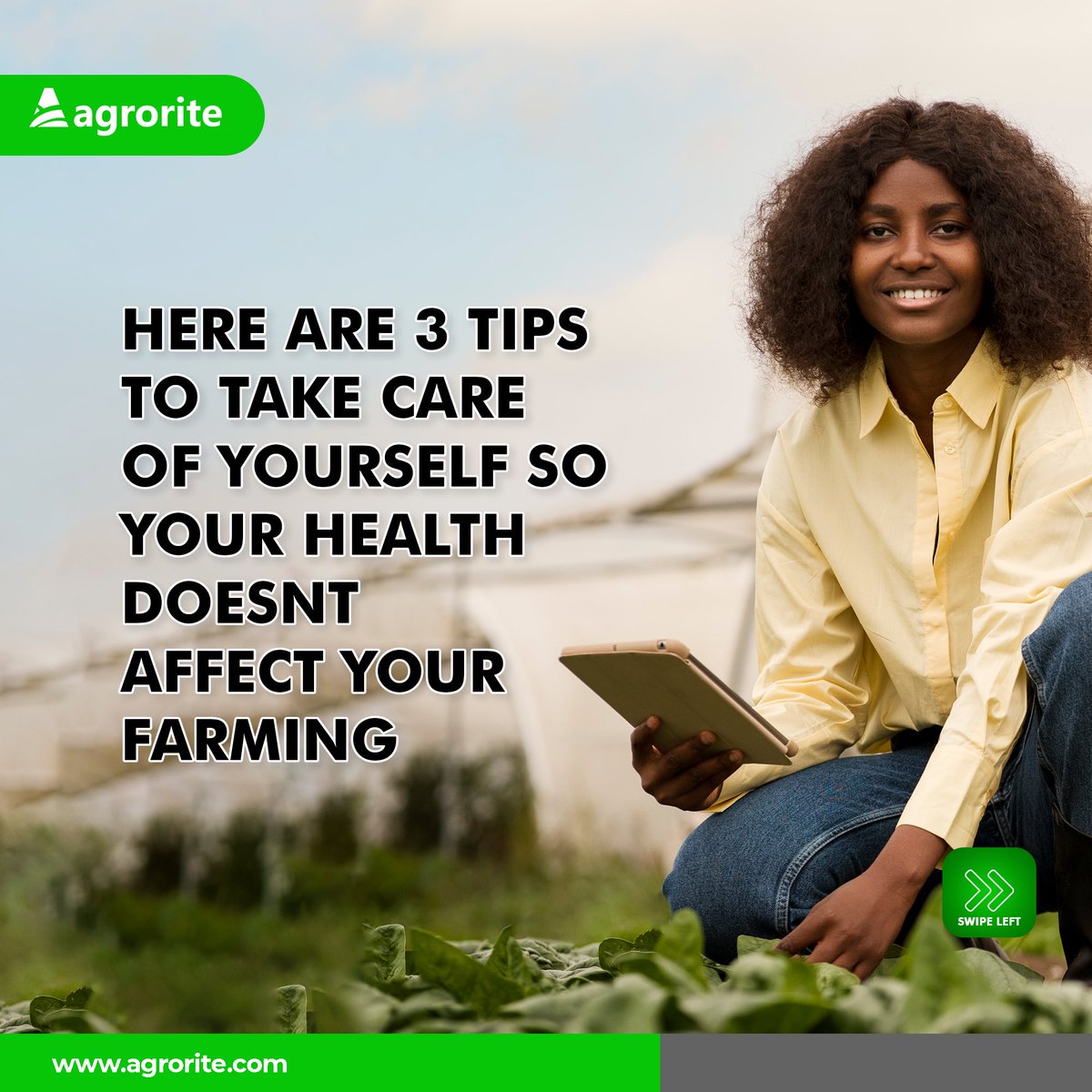 Agrorite tweet media