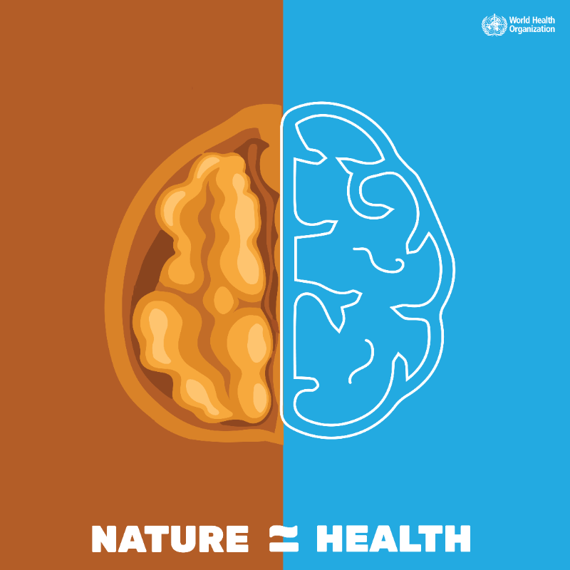 WHO's tweet photo. It's #WorldEnvironmentDay!

🫁 The air we breathe.
🍲 The food we eat.
🚰 The water we drink.
🌆 The environment we live in.
🔥 Climate change, plastic pollution, hazardous chemicals &amp; natural habitats destruction.
⬇️
Our health depends on a healthy environment 🌍🌱