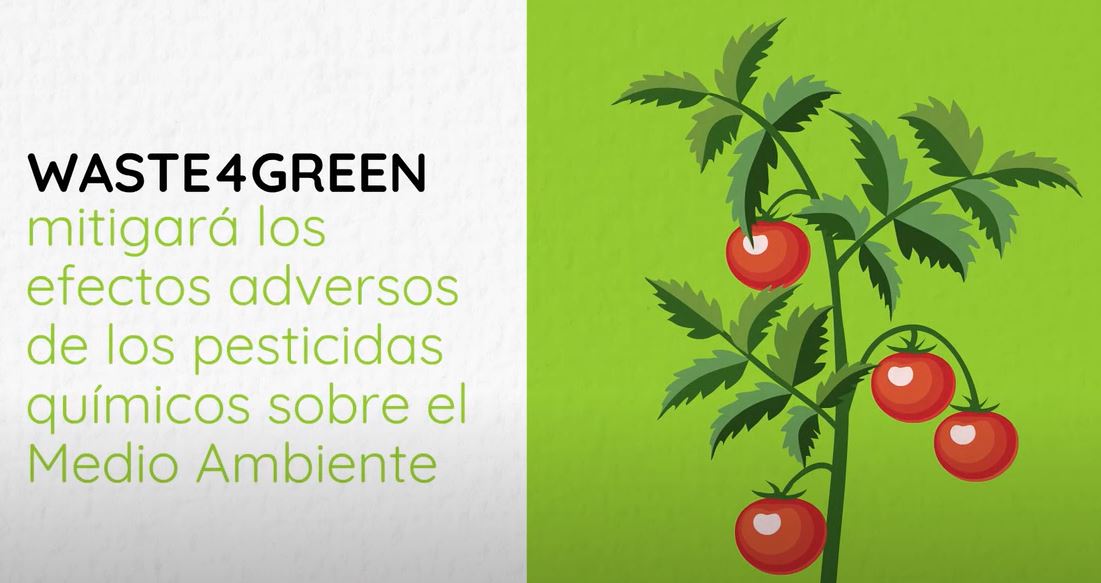 El proyecto <a href="/Waste4G/">Waste4Green</a> también busca mitigar los efectos de los #pesticidas en el #MedioAmbiente 
¡Conoce los resultados en la jornada final el 13 de junio!
Inscríbete: bit.ly/inscrip-W4G-13…
Día Mundial del #MedioAmbiente
<a href="/LIFEprogramme/">LIFE Programme</a> <a href="/cinea_eu/">CINEA 🇪🇺</a> <a href="/EU_Commission/">European Commission</a>