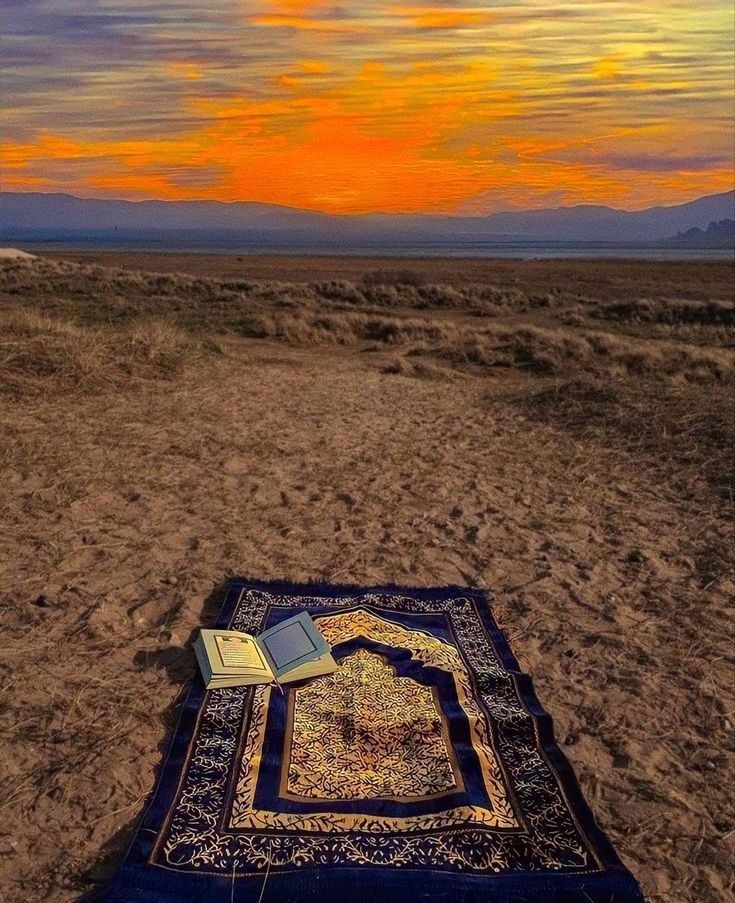 اللهّم دبّر ما نجهله ، ويسّر ما نأمله ، وقرّب ما نرقبه ، وهب لنا نورًا يملؤنا ، وتولّنا ياربّ فيمن توليت .