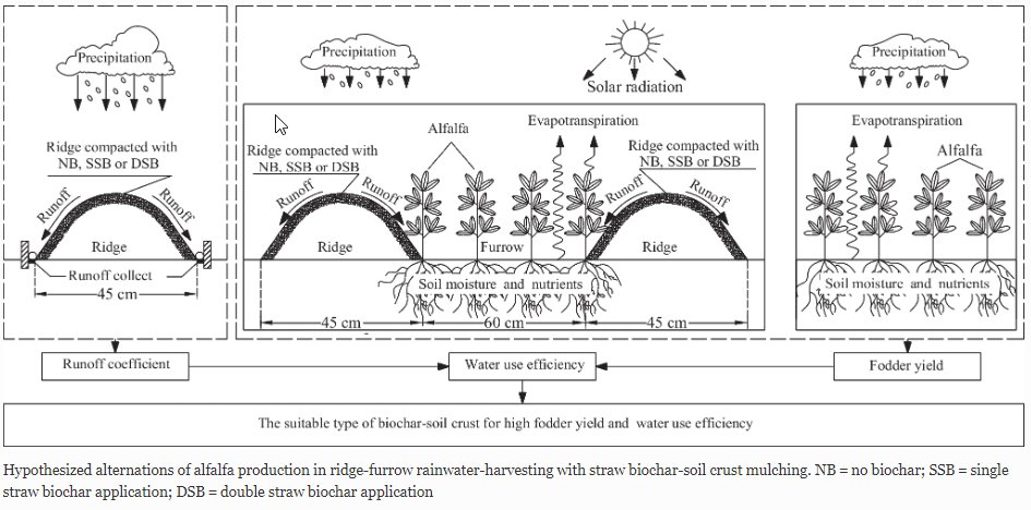 Journal_JSSPN's tweet image. New article in our #BiocharCollection:

Effects of Ridge-Furrow #Rainwater Harvesting with #Biochar-Soil Crust Mulching on Soil Properties, Nutrients, and #Alfalfa Fodder Yield in a #Semiarid Agroecosystem

Read at rdcu.be/ddMG9

See Collection: link.springer.com/collections/ga…