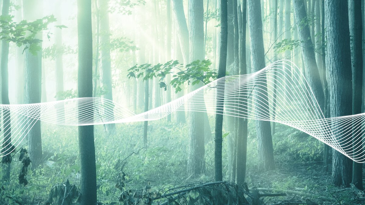 ixoworld's tweet photo. May we find peace and ecological regeneration #WorldEnvironmentDay 🌍☮️ https://t.co/dwpsn4lNXh