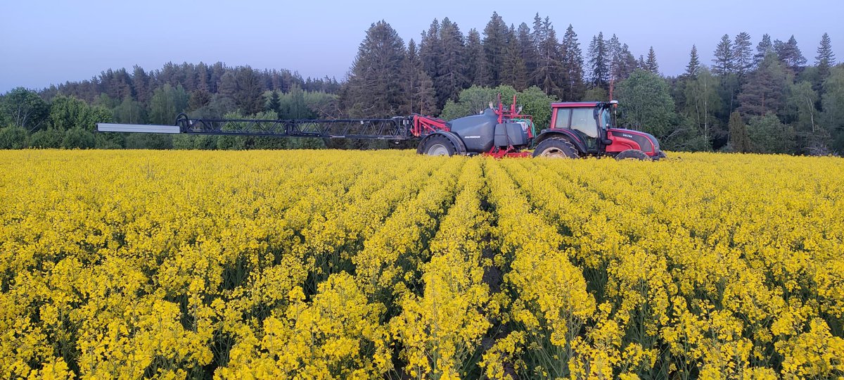 Annaleena Ylhäinen 🇫🇮🇺🇦 tweet media