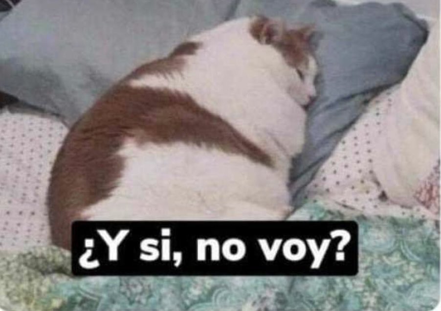 Guarromantico_'s tweet photo. Cuando suena la alarma para levantarme e ir a trabajar. https://t.co/DleVNxQkWP