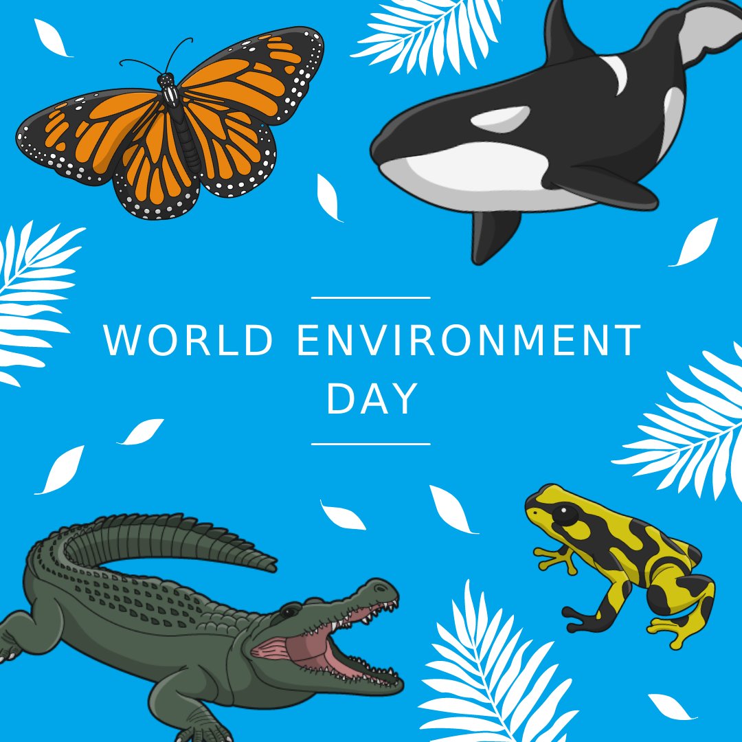 Special iApps tweet media