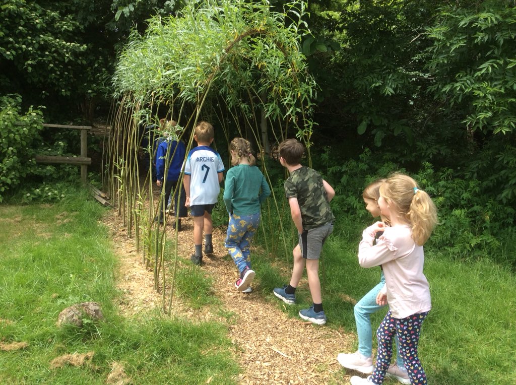 Our first Forest School lesson!