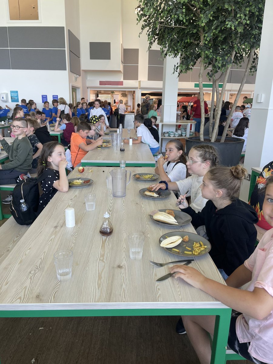 Rhigos Primary tweet media