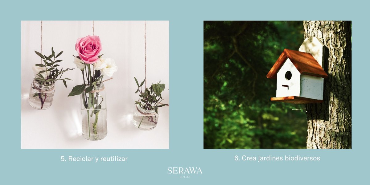 SerawaHotels's tweet photo. En Serawa Hotels estamos comprometidos con la conservación de nuestro planeta. Hoy queremos compartir algunos consejos sencillos pero poderosos para preservar el medio ambiente. Juntos podemos marcar la diferencia. ¡Cuidemos el planeta! 🌿 #DiaDelMedioAmbiente  #SerawaHotels https://t.co/6AcdJfrx10