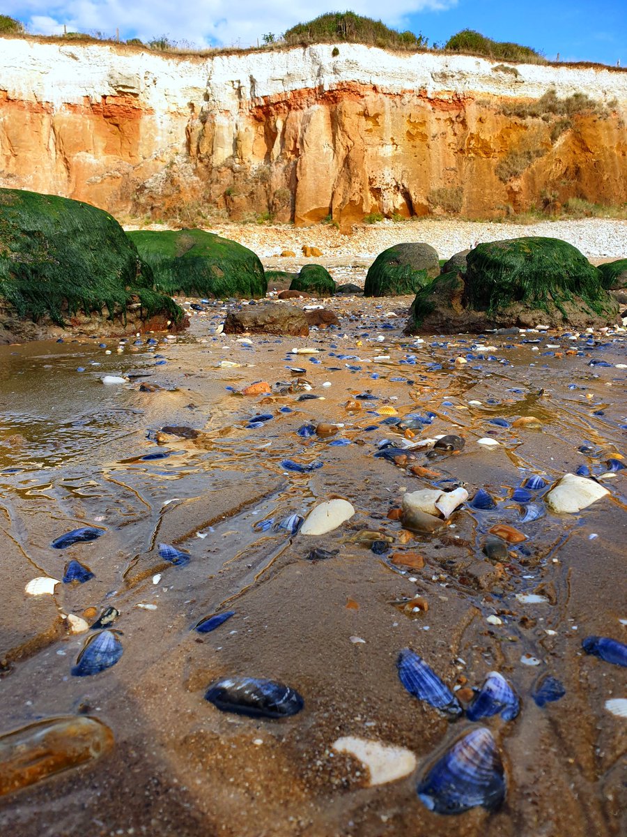 E N J O Y #Beachwalks are the best. We love the walk from Hunstanton to Old Hunstanton. #norfolk