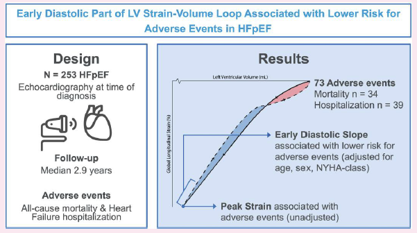 ThijsEijsvogels's tweet image. Our latest paper @ESC_Journals #EHJcvi: Association of left #ventricular #strain–volume #loop characteristics with #adverse #events in patients with #HFpEF

Full paper via: academic.oup.com/ehjcimaging/ad…