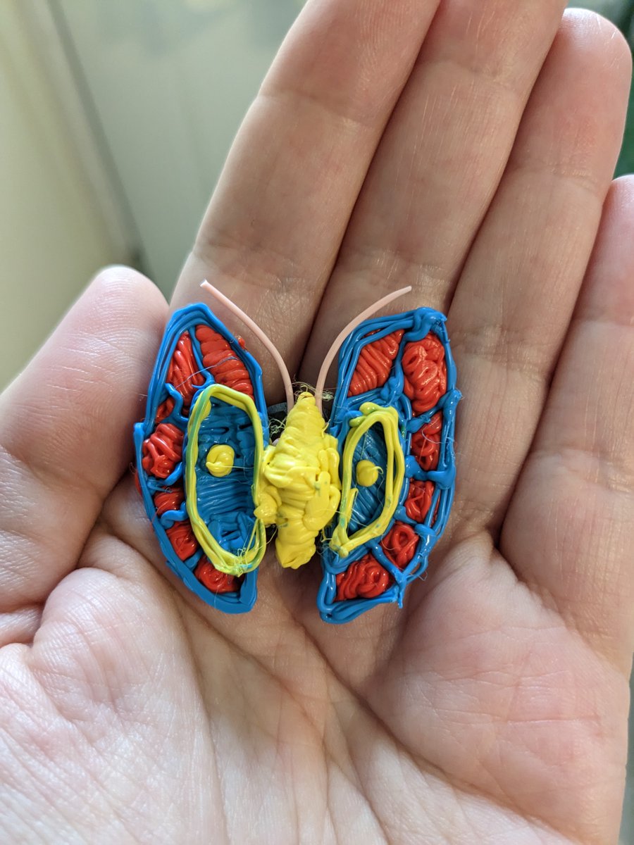 Papillon fait avec le 3Doodler! / Butterfly made with the 3Doodler!
Je l'ai mis en aimant par la suite / I displayed it as a magnet after that.
#3doodler #crafting #butterflyart #butterfly #art #traditional #traditionalart #arts #craft