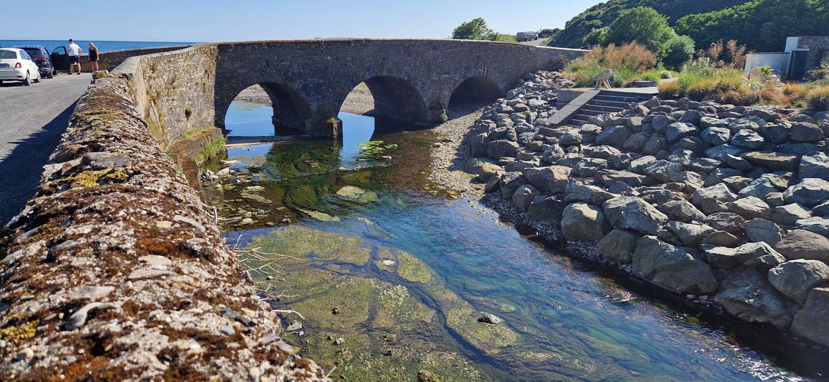 Excessive algal growth in the lower Dalligan River, Ballyvoyle Cove, #Waterford today. 

#ClimateChange predictions mean that our rivers will have lower volumes of warmer water in summer dry spells so ability of rivers to dilute and assimilate pollutants will be reduced.⚠️