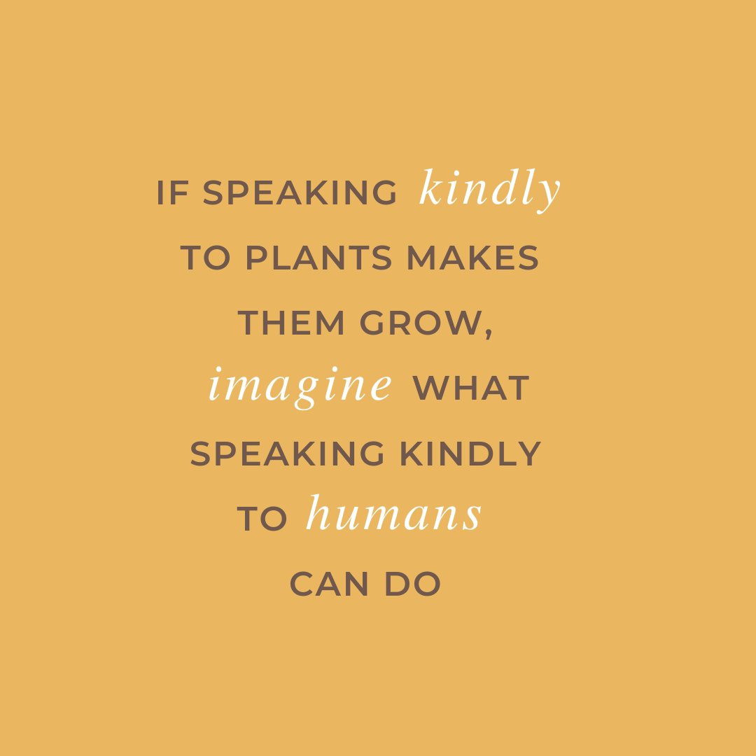 Halifax CC (@halifaxcc) on Twitter photo 