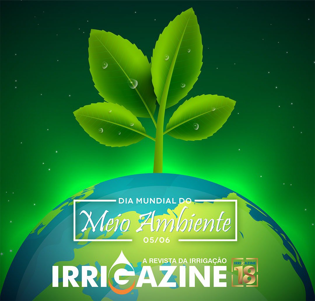 5 de junho-Dia Mundial Do Meio Ambiente 🌎