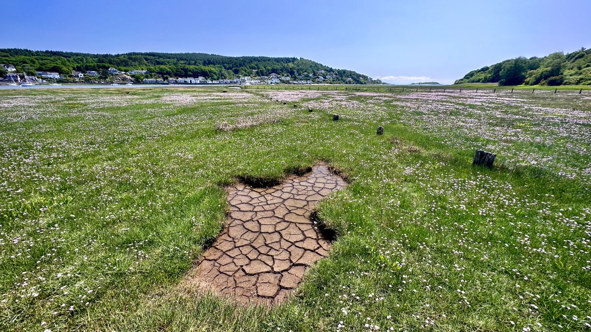 ⁦<a href="/BBCScotWeather/">BBC Scotland Weather</a>⁩ <a href="/metoffice/">Met Office</a> ⁦<a href="/bbcweather/">BBC Weather</a>⁩ it’s another stunning day in #DumfriesandGalloway. #Kippford #CostaDelSolway