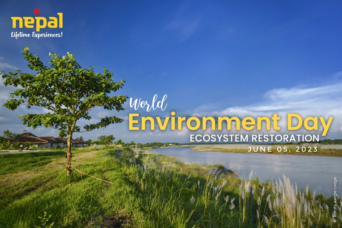 World Environment Day 2023! 
This year's theme is Ecosystem Restoration. Let's work together to #BeatPlasticPollution and make conscious choices for a sustainable future. 🌱♻️ #Nepal #EnvironmentDay2023 #EcosystemRestoration 
PC: Barahi Jungle Lodge