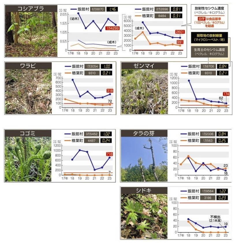 浪花慕情 tweet media