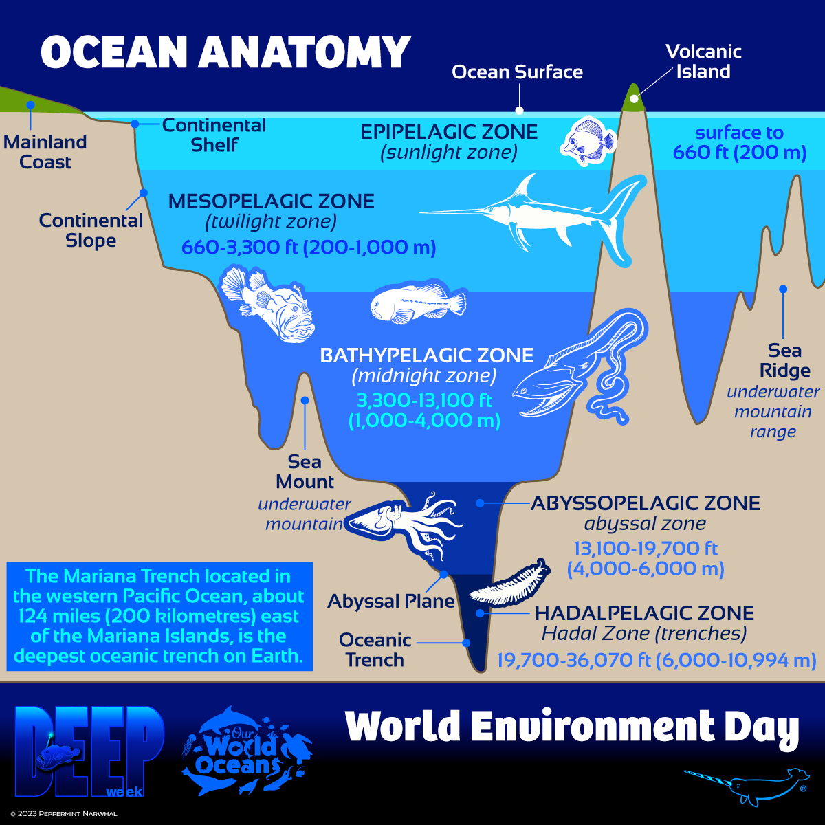 #WorldEnvironmentDay #OceanAnatomy
#DeepWeek #OurWorldOceansMonth

Endangered 5 #EnamelPins #Kickstarter tinyurl.com/2n8pe326

Shop #PeppermintNarwhal peppermintnarwhal.com 

#OurWorldOceans #OceanMonth #Ocean #OceanZones